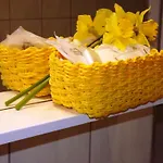 Biocic تروغير